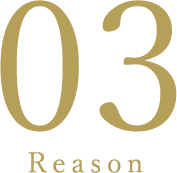 reason03