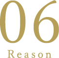 reason06